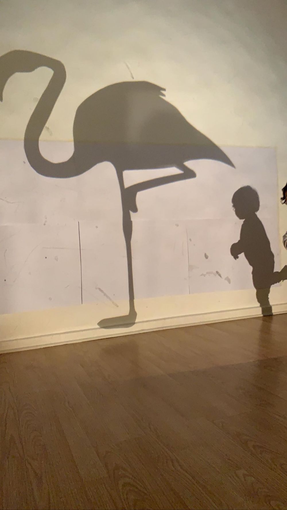 Niño descubriendo sombras